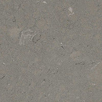 /q quartz/Fossil Gray - MA,RI,CT Atlantis Marble and Granite